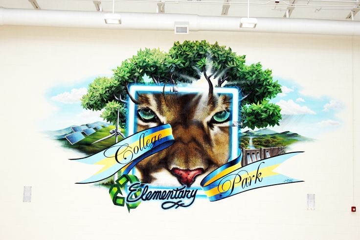 College Park Mountain Lion